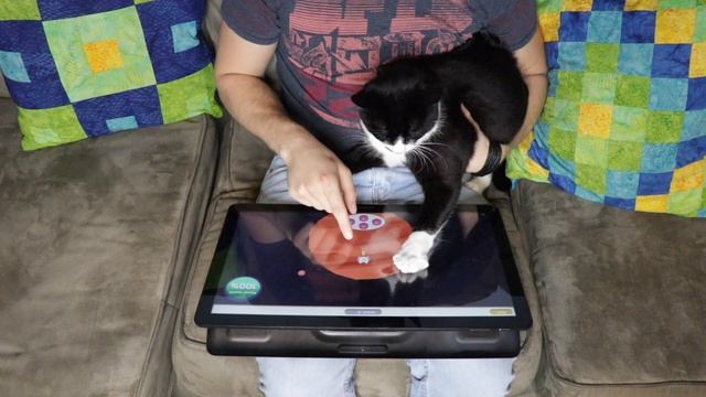 Save the Galaxy WITH your cat: Galaxy Cats смотреть онлайн