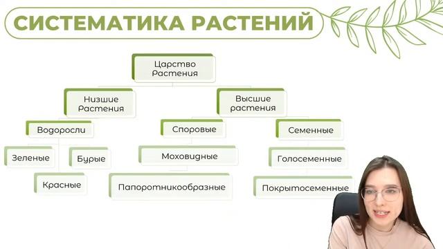 ЖИЗНЕННЫЕ ЦИКЛЫ РАСТЕНИЙ | БИОЛОГИЯ | ОГЭ 2023 | 99 БАЛЛОВ