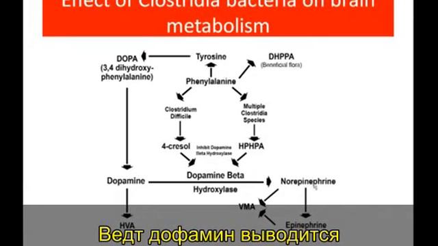 Интерпретация теста «Органические кислоты в моче» The Great Plains Laboratory (6/10). смотреть онлайн