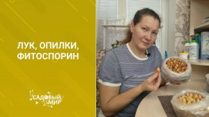 Классный способ посева зеленого лука дома в пакеты с опилками! Без грязи, без земли