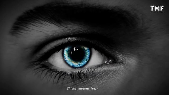 High on Music (audio react) | After effects | The Motion Freak смотреть онлайн