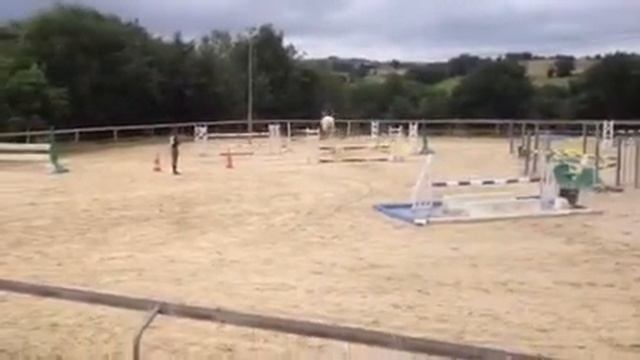 Maddy (AV) parcours 1m05-1m10 смотреть онлайн