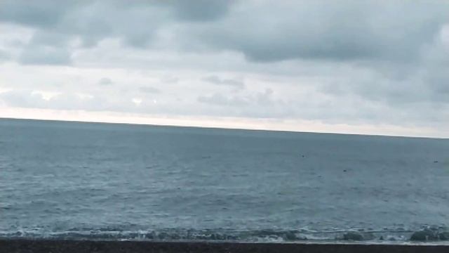 Дельфины 8 мая на пляже Огонёк в Адлере! смотреть онлайн