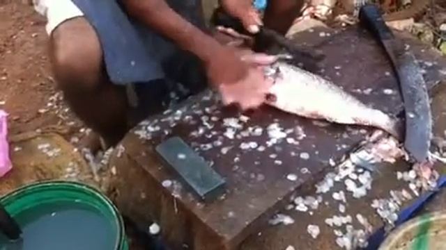 Чистка рыбы Гоа смотреть онлайн