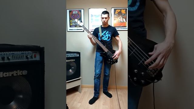 Smash Hit Combo - Contre Nature (Bass cover) смотреть онлайн