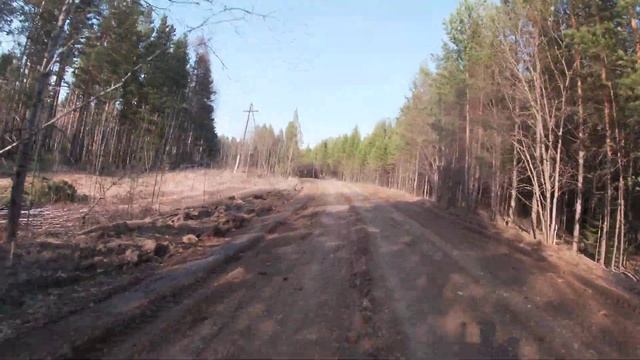 Поездка по тайге на квадроциклах CF Moto 500 2a и STELS 500