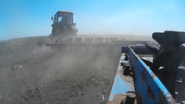 МТЗ 82.1 на прикатке посевов подсолнечника смотреть онлайн