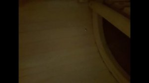 Кедровая фитобочка купить.  Кедр из Горного Алтая