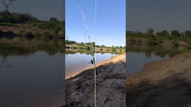 восхитительное утро на реке. смотреть онлайн