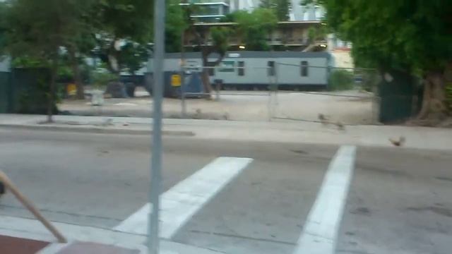 Маями - село....куры бегают по улицам смотреть онлайн