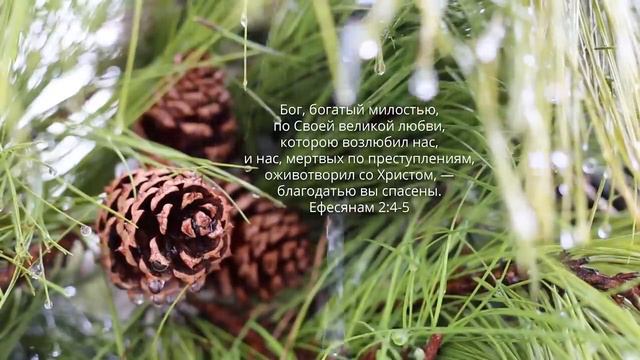 Расслабься в Божьем присутствии _ Слово Божье под звук дождя _ Молитва _ Relaxing смотреть онлайн