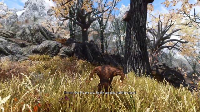 Day 295 - Killing Nazeem Every Day Until Elder Scrolls 6 is Released смотреть онлайн
