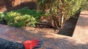 Секрет клумбы без сорняков.Геотекстиль/агроволокно в клумбе.