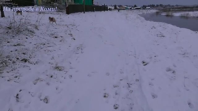 С Туланом всё нормально /У реки Нившера #27/ смотреть онлайн