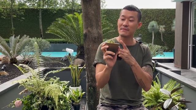 Hoya Carnosa Compacta 'hindu Rope' Care And Propagation