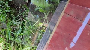 Как сделать летний душ на даче своими руками/ часть четвертая / соседи в шоке / душ на участке