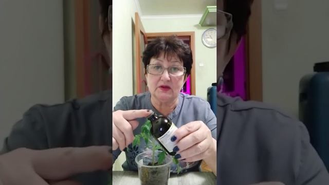 Дезинфекция почвы и теплиц. смотреть онлайн