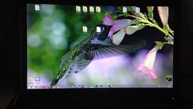 Тестирую скорость hdd (открываю photoshop) смотреть онлайн
