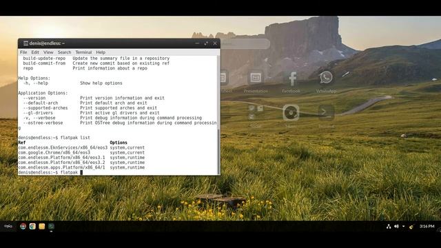 Установка Endless OS | Без менеджера пакетов с Flatpak и OSTree | pat 2 смотреть онлайн