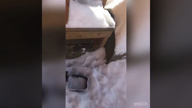 ВЛОГ: выходные на даче ❄️❤️❄️ смотреть онлайн