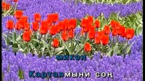 Картаямыни сон йөрәк .Татарча Караоке
