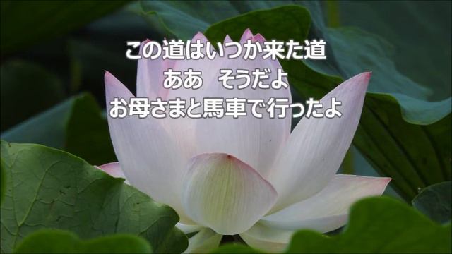 池辺晋一郎　「ひたすらに･･･白秋」より　１．この道　テノール смотреть онлайн