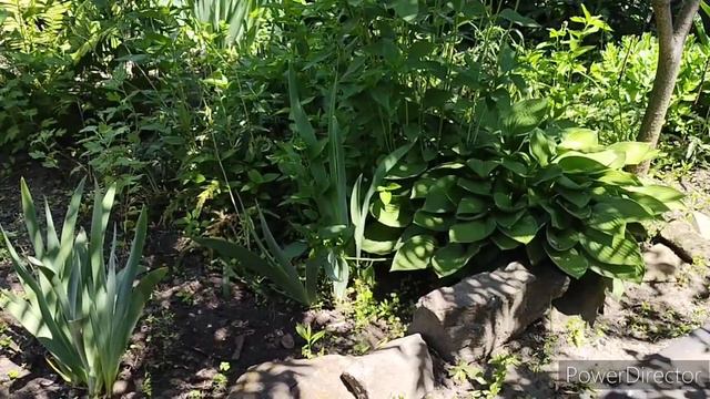 Славянск.08.06.23. А просто жить, так ПРОСТО.‼️ смотреть онлайн