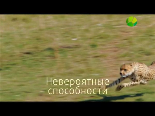 BBC. Загадки природы. Невероятные способности