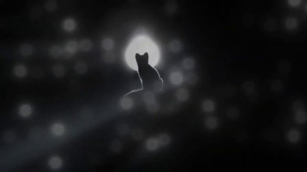 Mozilla_Firefox. eXe presents . . .