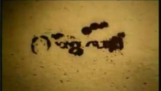 dark oracle introduction смотреть онлайн