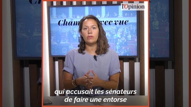 [Chambre avec vue #1] Benalla face aux sénateurs : Tout ça pour ça ! смотреть онлайн