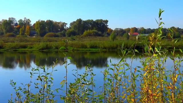 ЛИЦОМ К ЛИЦУ С ПРОБЛЕМОЙ, СОБЫТИЕМ, СИТУАЦИЕЙ! Возможность разрешить, отрегулировать всё! Авеста смотреть онлайн