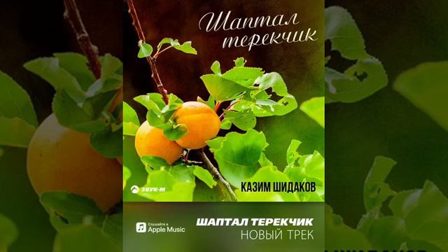 Казим Шидаков-Шаптал терекчик(2019) смотреть онлайн
