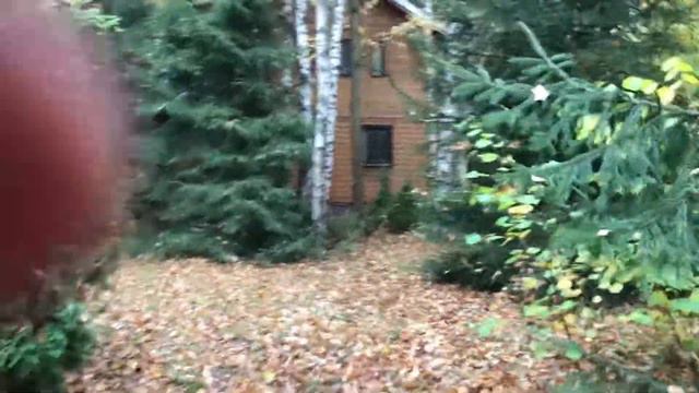 1 октября 2022 г. смотреть онлайн