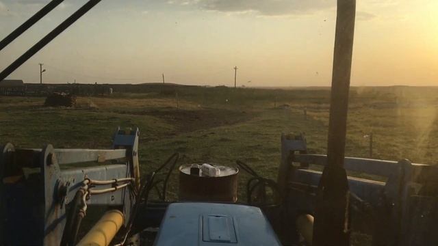 Купка коров , дозировка препарата смотреть онлайн