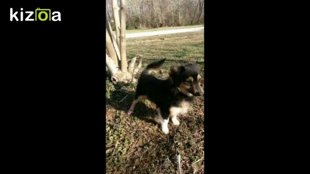 Kizoa Movie - Video - Slideshow Maker: S.A.S.S May Group 2017 смотреть онлайн