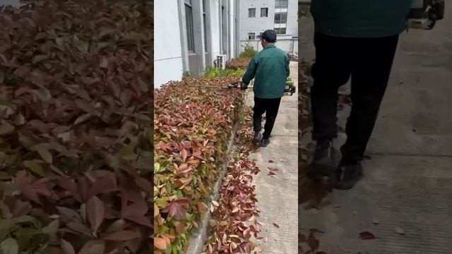 Sunray Power-Petrol/Gas Powered Pole Hedge Trimmer~Brush Trimming смотреть онлайн