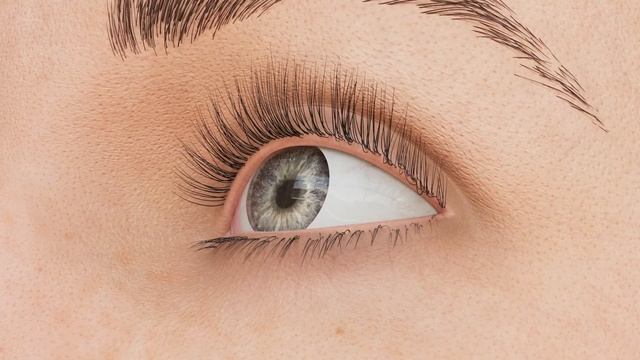 Lenoites ® Eyelash Activating Serum, 5 ml смотреть онлайн