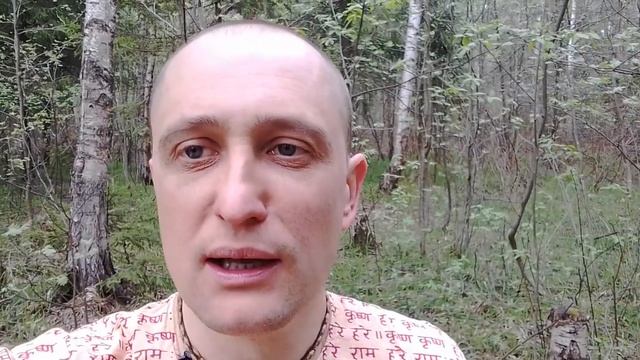 Нектар наставлений Стих 5 часть 3 смотреть онлайн