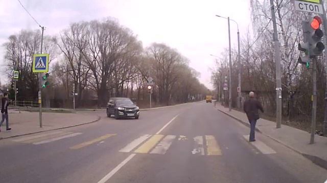 настоящий олень