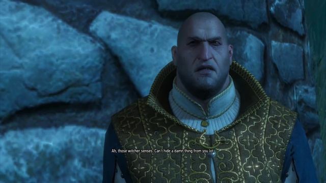 STAY TRISS - The Witcher 3 Wild Hunt PC Playthrough Part 77 смотреть онлайн