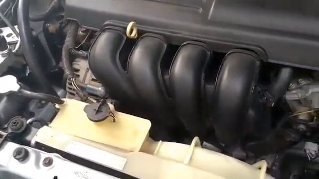 Completando O líquido arrefecimento Corolla смотреть онлайн
