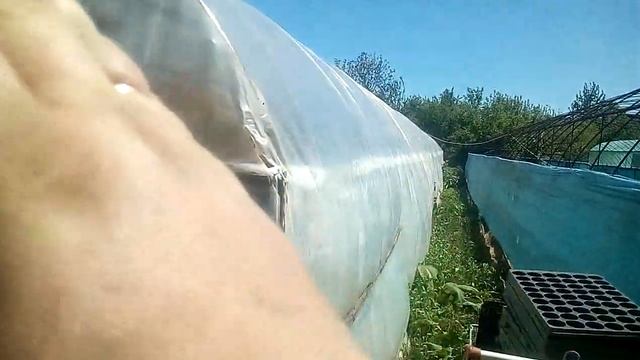 Сеновал!!! Специально для канала деревенская жизнь!!!! смотреть онлайн