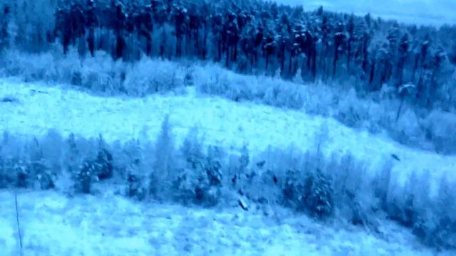 Мониторинг объектов животного мира смотреть онлайн