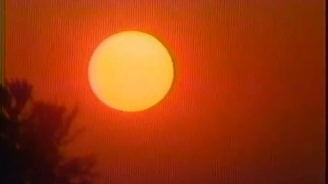 Японский меч Масамунэ, часть - 2