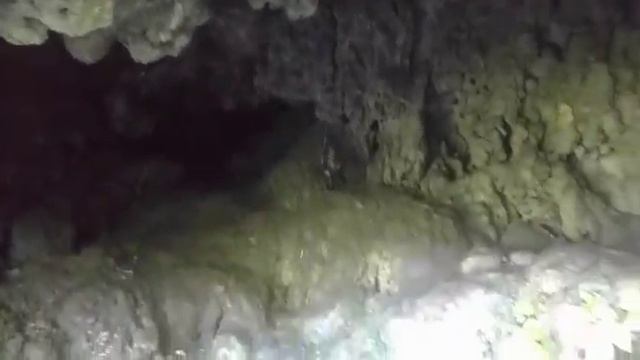Прогулка от Лакшман джулы к водопаду Патна I Индия, Ришикеш 2017 смотреть онлайн