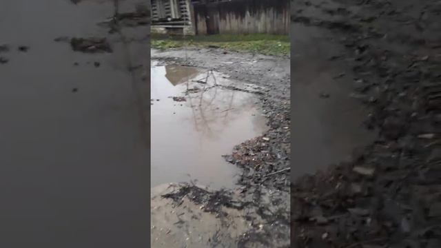 Регулярный ремонт дорог от ООО"Регионэнергоресурс-Тверь" в Ржевском уезде.30.11.2020 г. смотреть онлайн