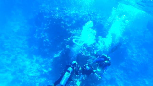 Labranda Tower Bay. Шарм-Эль-Шейх 2021 .Свадебное путешествие. смотреть онлайн