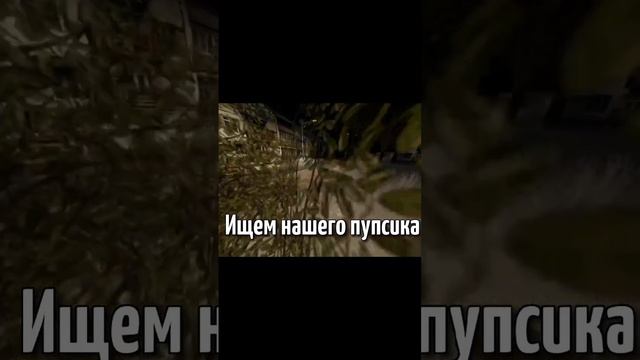 Привет пупсик ? #роблокс #roblox #shorts #tiktok #рекомендации смотреть онлайн