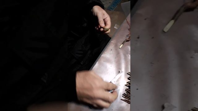 Как прошел наш день. Зимняя прививка плодовых. Саженцы смотреть онлайн